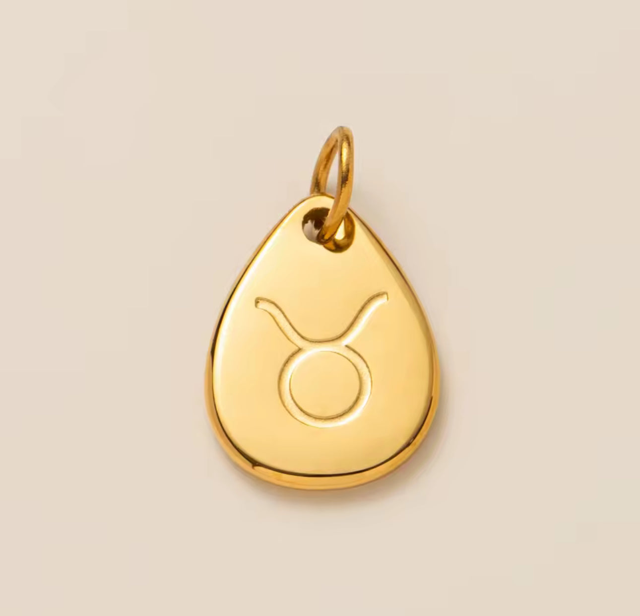 Charm Signo del Zodiaco