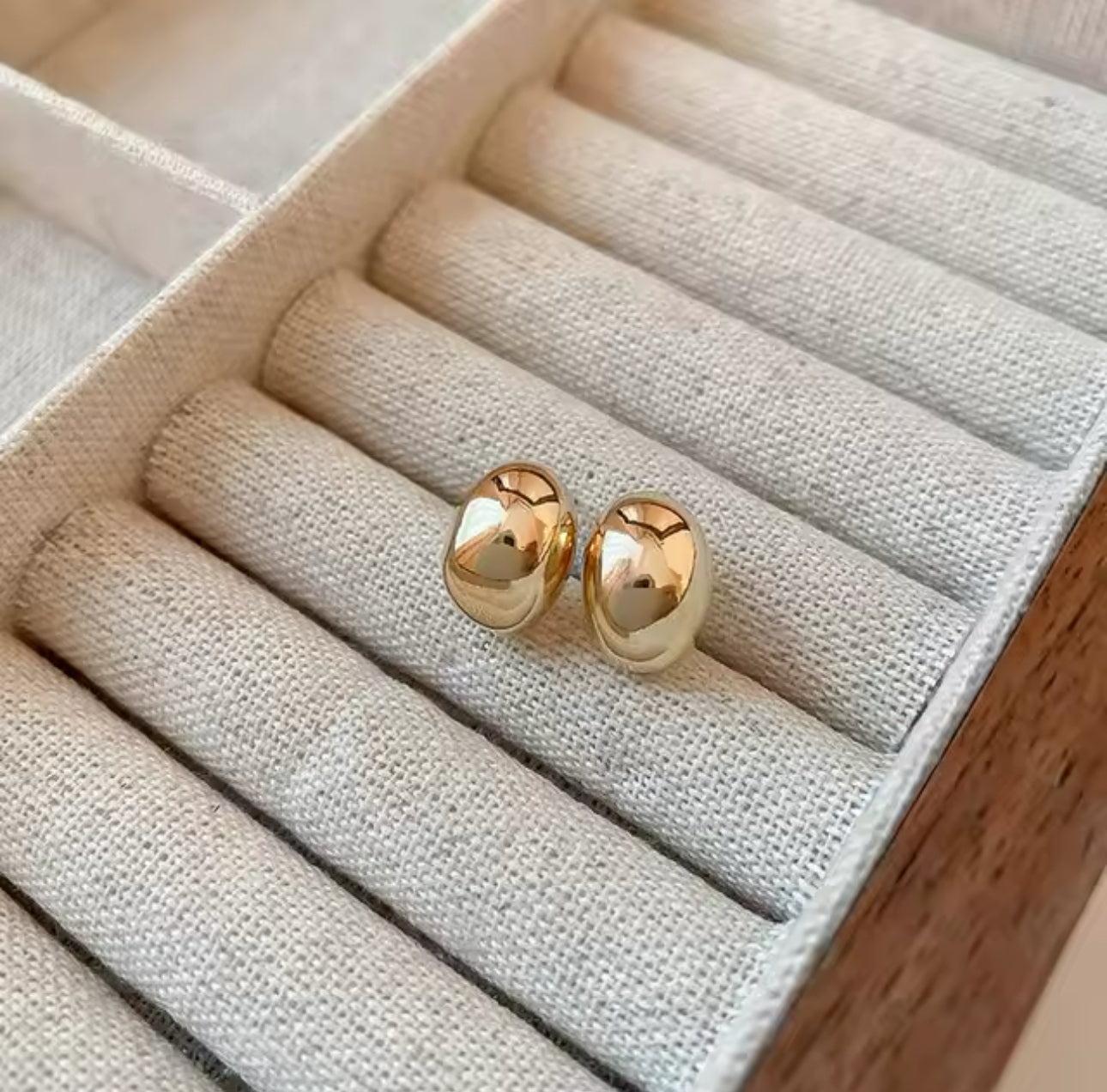 Aretes Ovalito