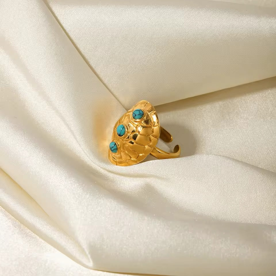 Caparazón tortuga