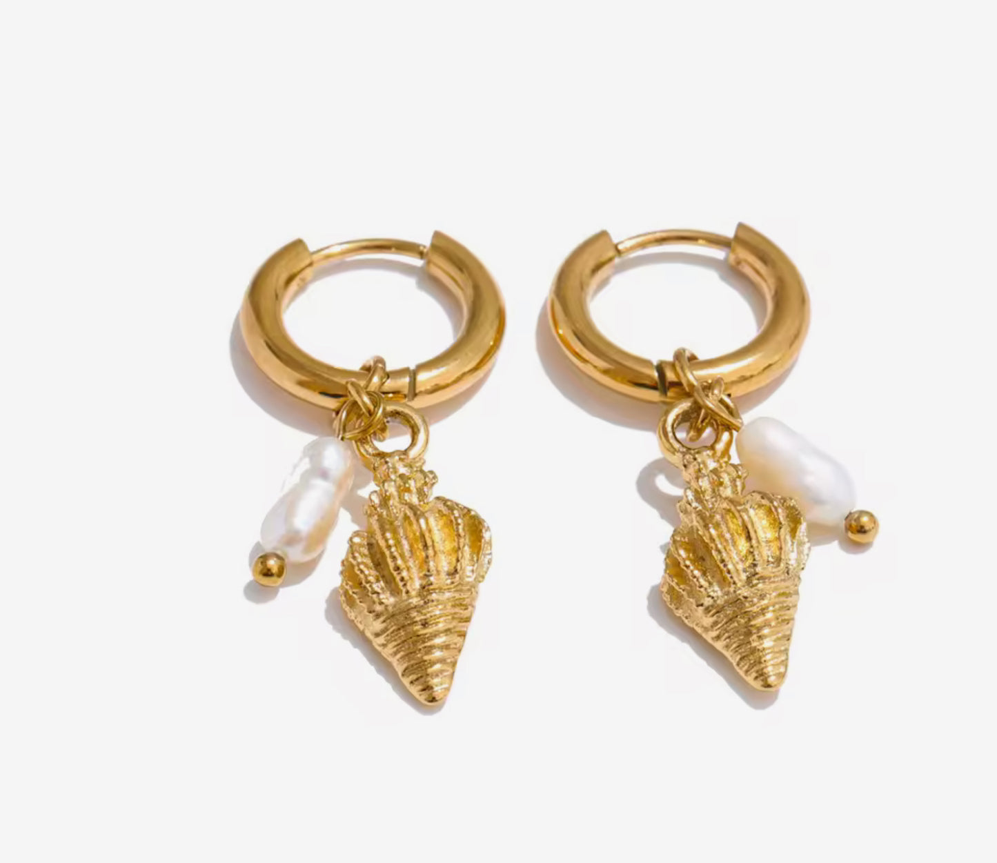 Hoops Caracolitas