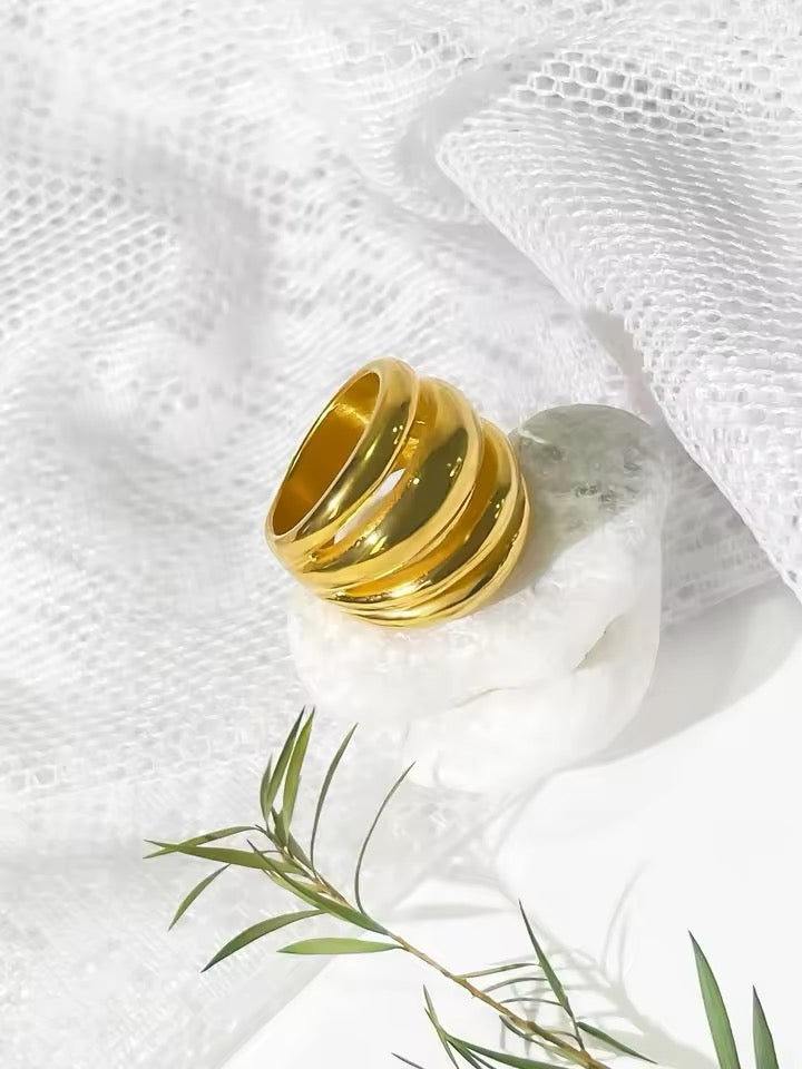 Anillo Oruga