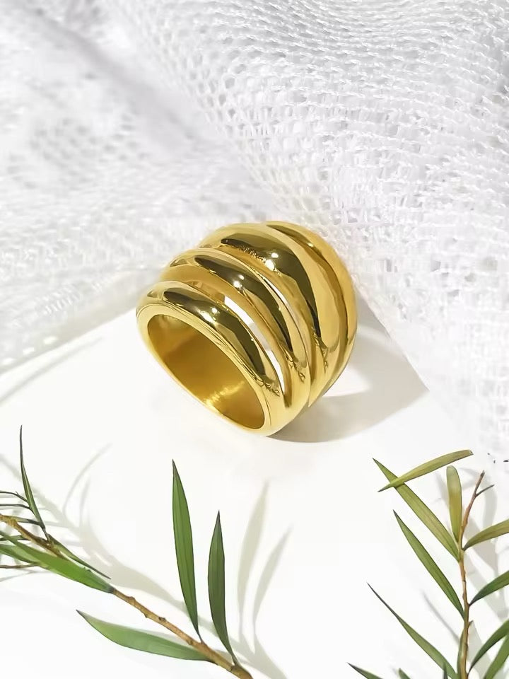 Anillo Oruga